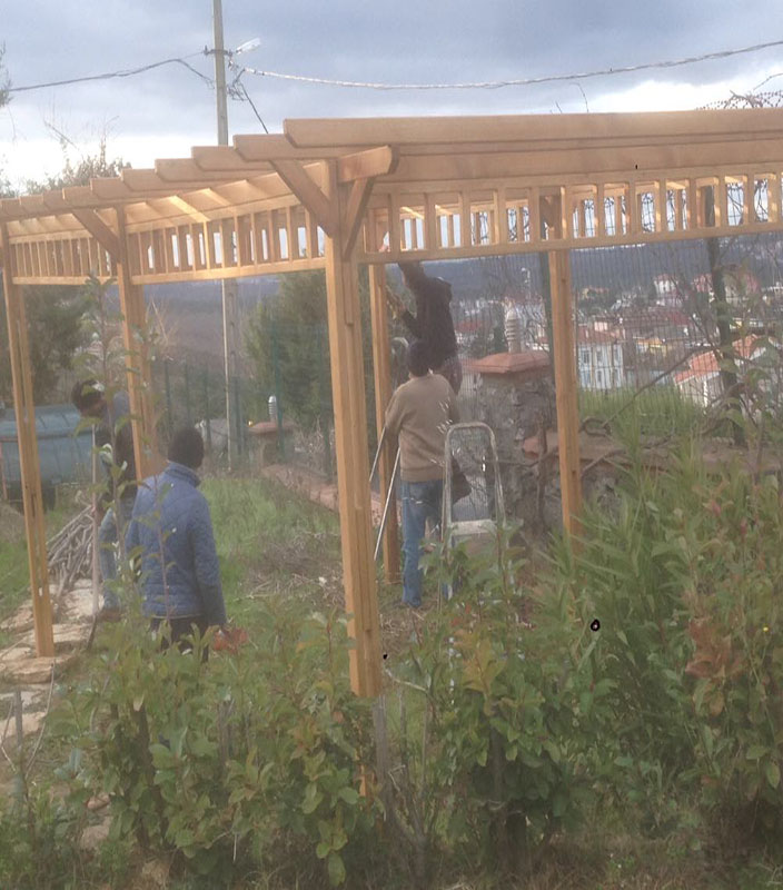 Çavuş Başı Kare Kamelya Projesi