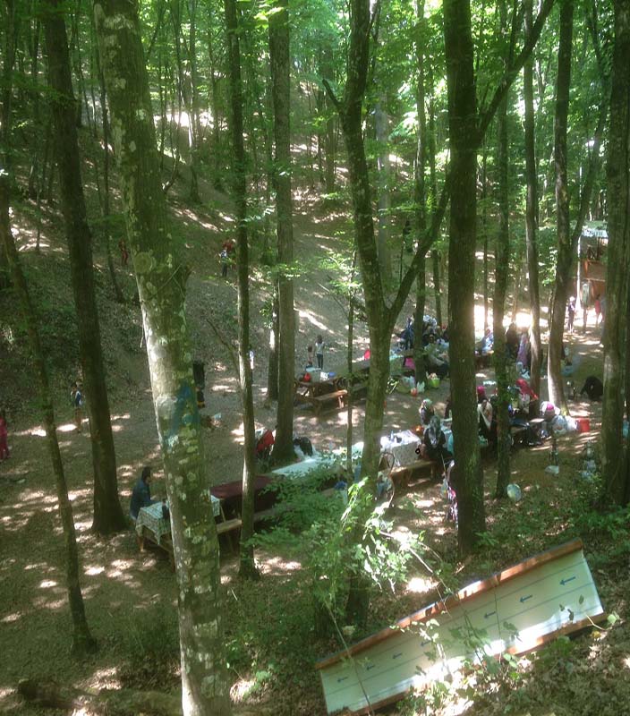Belgrad Ormanı Park Alanı Projesi