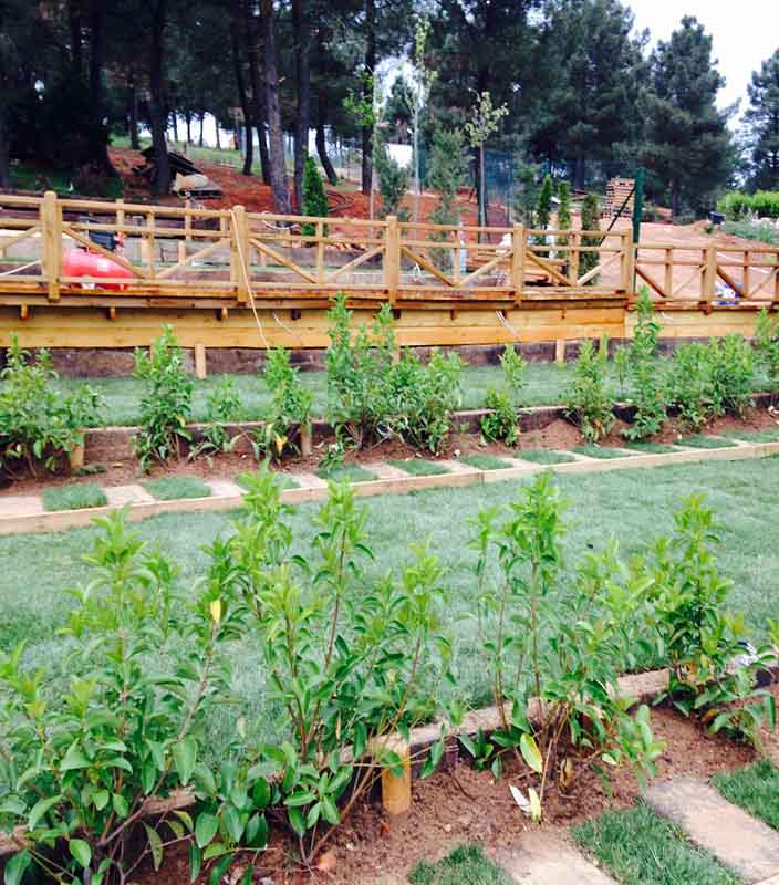 Trabzon Park Kır Düğünü Sahne Projesi